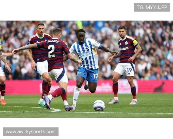 布莱顿球员配合默契，海鸥军团期待连胜势头，布莱顿引援